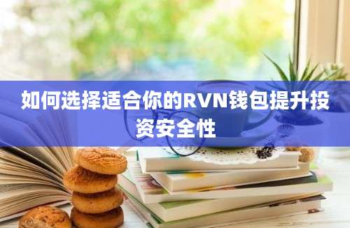 如何选择适合你的RVN钱包提升投资安全性