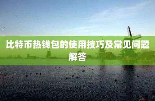 比特币热钱包的使用技巧及常见问题解答