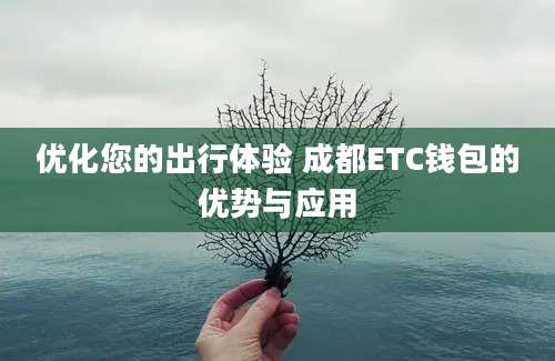 优化您的出行体验 成都ETC钱包的优势与应用