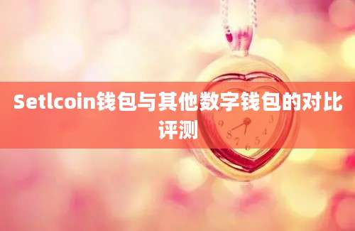 Setlcoin钱包与其他数字钱包的对比评测