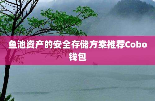 鱼池资产的安全存储方案推荐Cobo钱包