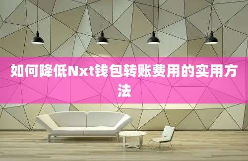 如何降低Nxt钱包转账费用的实用方法