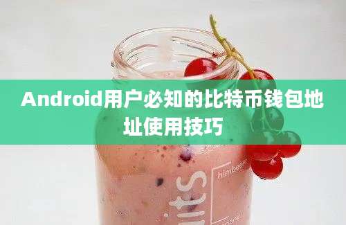 Android用户必知的比特币钱包地址使用技巧