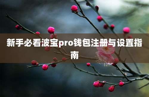 新手必看波宝pro钱包注册与设置指南