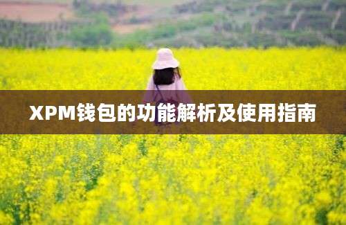 XPM钱包的功能解析及使用指南