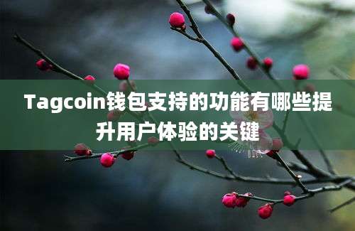 Tagcoin钱包支持的功能有哪些提升用户体验的关键