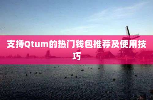 支持Qtum的热门钱包推荐及使用技巧