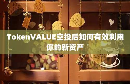 TokenVALUE空投后如何有效利用你的新资产