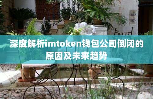 深度解析imtoken钱包公司倒闭的原因及未来趋势