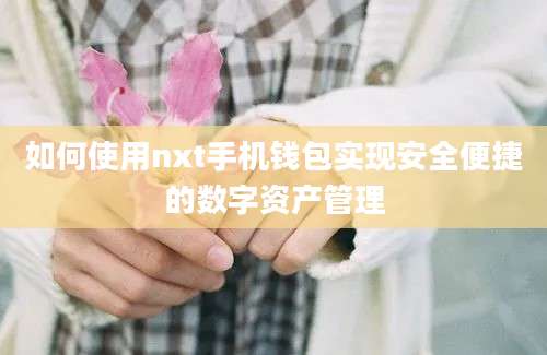 如何使用nxt手机钱包实现安全便捷的数字资产管理