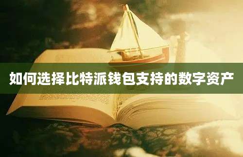 如何选择比特派钱包支持的数字资产