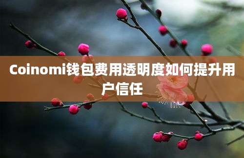 Coinomi钱包费用透明度如何提升用户信任