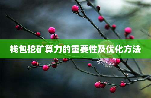 钱包挖矿算力的重要性及优化方法