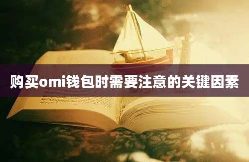 购买omi钱包时需要注意的关键因素