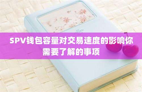 SPV钱包容量对交易速度的影响你需要了解的事项