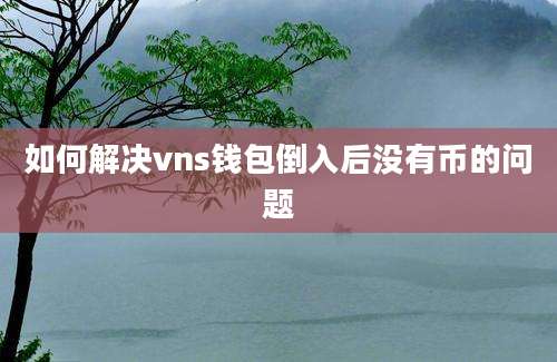 如何解决vns钱包倒入后没有币的问题