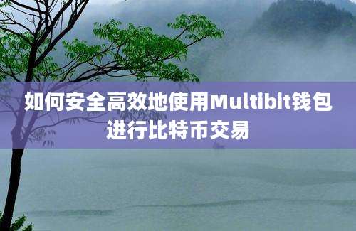 如何安全高效地使用Multibit钱包进行比特币交易