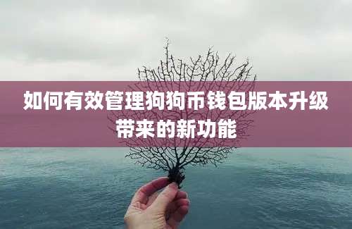 如何有效管理狗狗币钱包版本升级带来的新功能