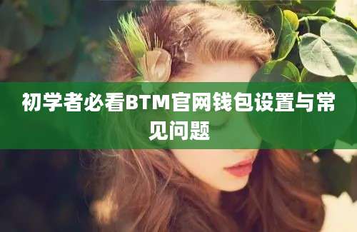 初学者必看BTM官网钱包设置与常见问题