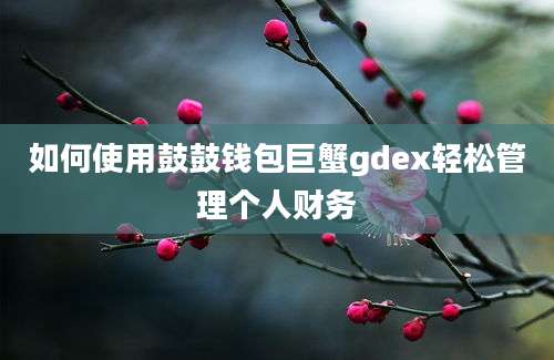 如何使用鼓鼓钱包巨蟹gdex轻松管理个人财务