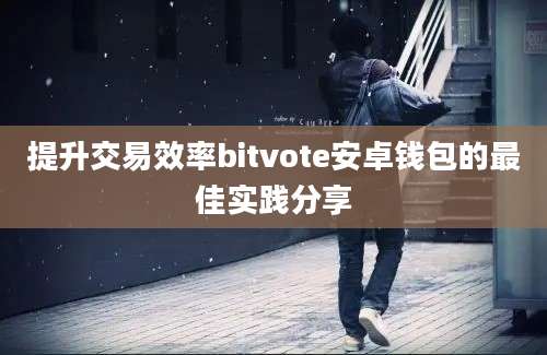 提升交易效率bitvote安卓钱包的最佳实践分享