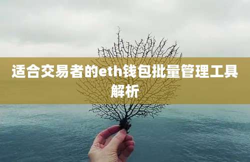 适合交易者的eth钱包批量管理工具解析