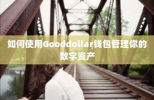 如何使用Gooddollar钱包管理你的数字资产