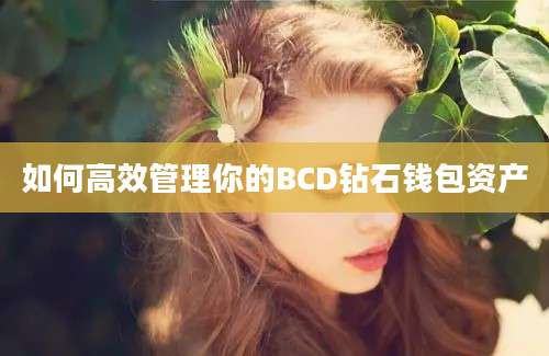 如何高效管理你的BCD钻石钱包资产