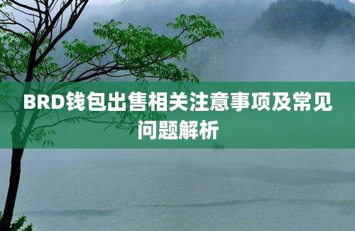 BRD钱包出售相关注意事项及常见问题解析