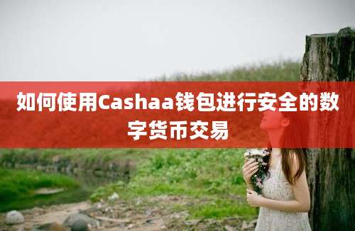 如何使用Cashaa钱包进行安全的数字货币交易