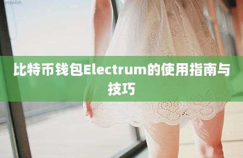 比特币钱包Electrum的使用指南与技巧