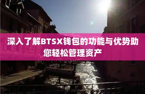 深入了解BTSX钱包的功能与优势助您轻松管理资产