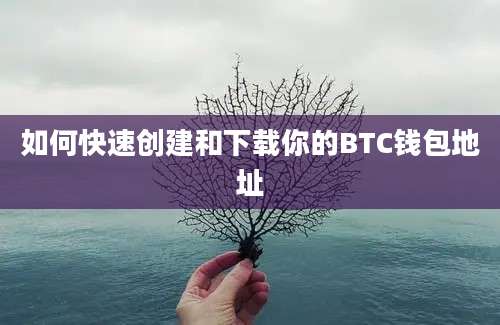 如何快速创建和下载你的BTC钱包地址