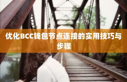 优化BCC钱包节点连接的实用技巧与步骤