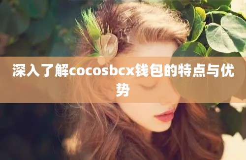 深入了解cocosbcx钱包的特点与优势