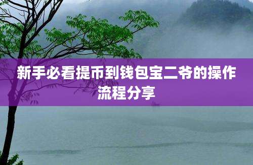 新手必看提币到钱包宝二爷的操作流程分享