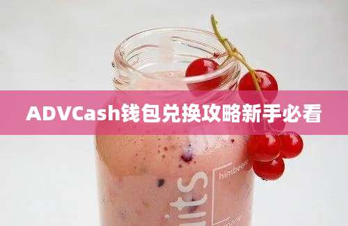 ADVCash钱包兑换攻略新手必看