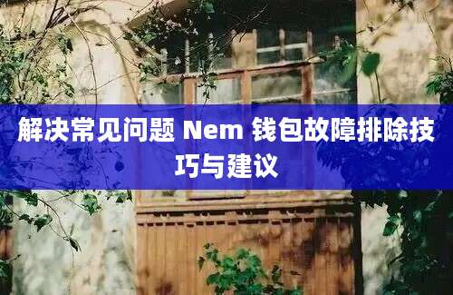 解决常见问题 Nem 钱包故障排除技巧与建议