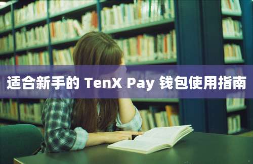 适合新手的 TenX Pay 钱包使用指南