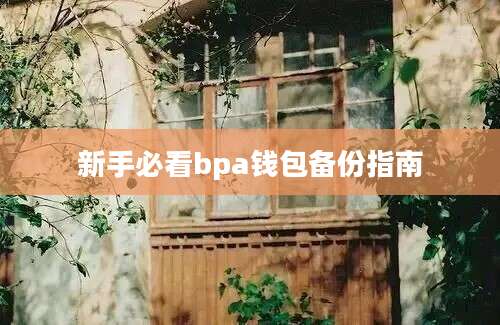 新手必看bpa钱包备份指南