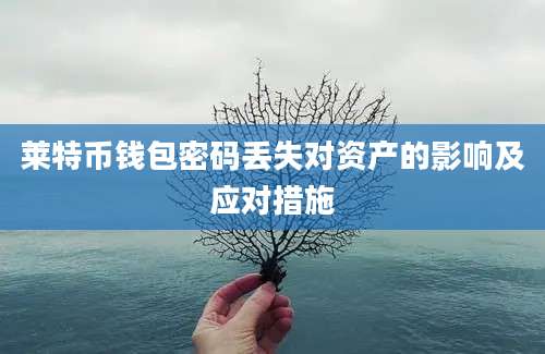 莱特币钱包密码丢失对资产的影响及应对措施