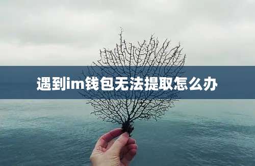 遇到im钱包无法提取怎么办