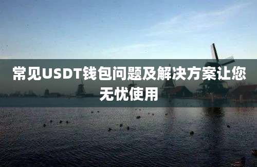 常见USDT钱包问题及解决方案让您无忧使用