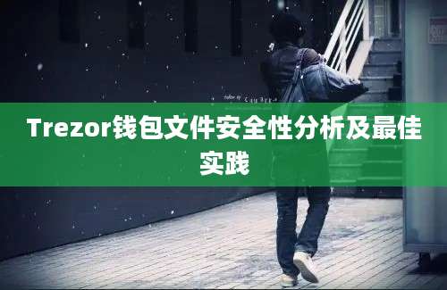 Trezor钱包文件安全性分析及最佳实践