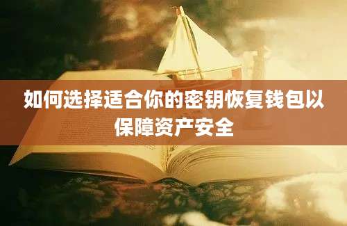 如何选择适合你的密钥恢复钱包以保障资产安全