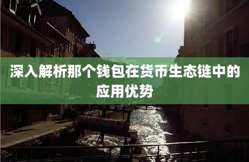 深入解析那个钱包在货币生态链中的应用优势