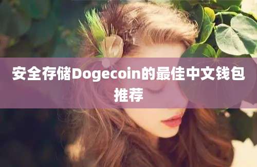 安全存储Dogecoin的最佳中文钱包推荐