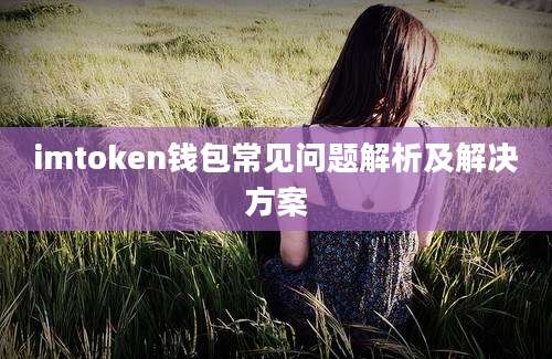 imtoken钱包常见问题解析及解决方案