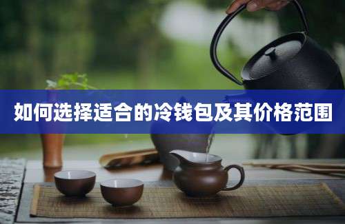 如何选择适合的冷钱包及其价格范围