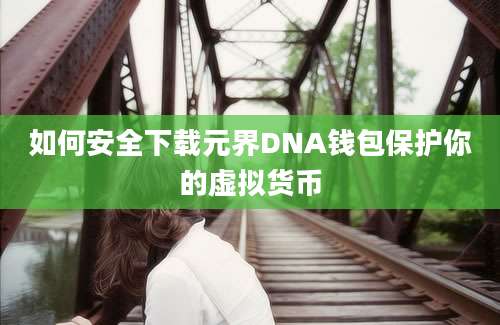 如何安全下载元界DNA钱包保护你的虚拟货币